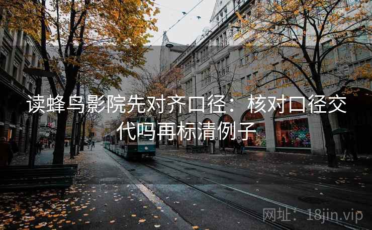 读蜂鸟影院先对齐口径：核对口径交代吗再标清例子